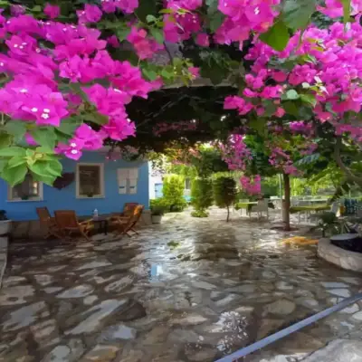 Rüya Pansiyon
