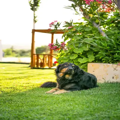 Aral Tatil Çiftliği