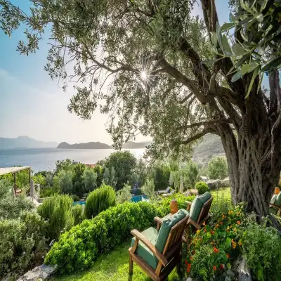 Bademli Bahçe Hotel, +18