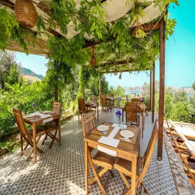 Bademli Bahçe Hotel, +18
