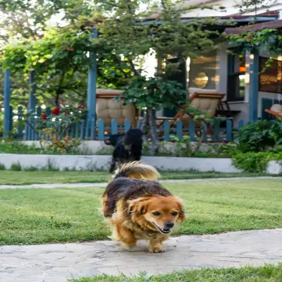 Aral Tatil Çiftliği