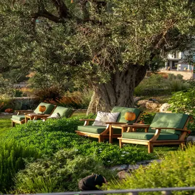 Bademli Bahçe Hotel, +18