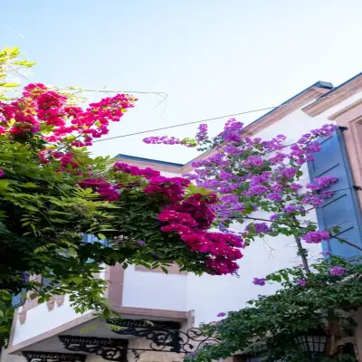 Baradiel Hotel, +12