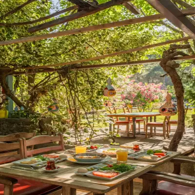 Club Amazon Glamping