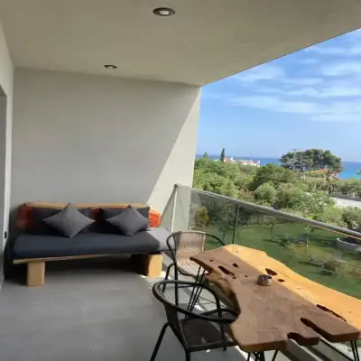 MOLA PAPAYA STUDIOS