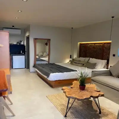 MOLA PAPAYA STUDIOS