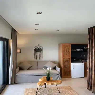 MOLA PAPAYA STUDIOS