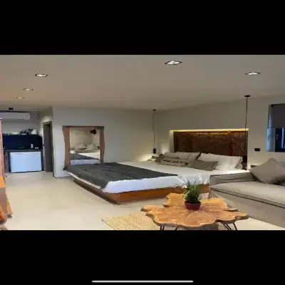 MOLA PAPAYA STUDIOS