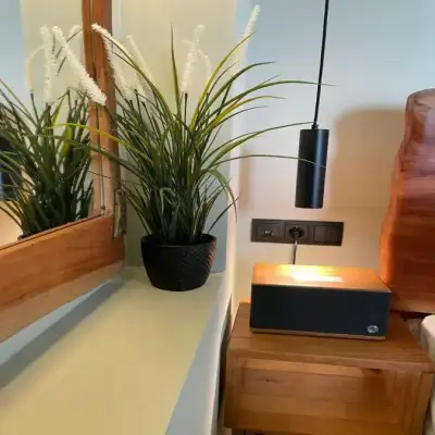 MOLA PAPAYA STUDIOS