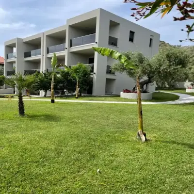 MOLA PAPAYA STUDIOS