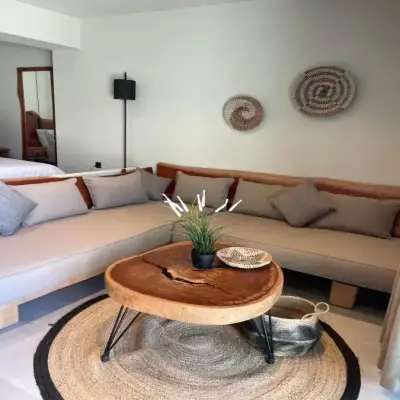 MOLA PAPAYA STUDIOS