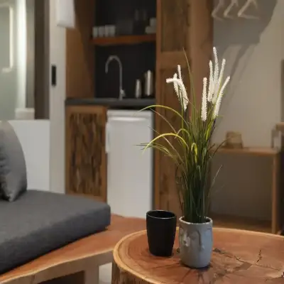 MOLA PAPAYA STUDIOS