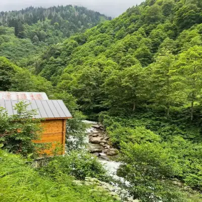 Haşimoğlu Otel & Spa, Ayder