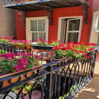 Faik Pasha Suites, Cukurcuma