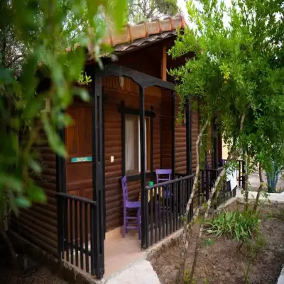 Koala Bungalows