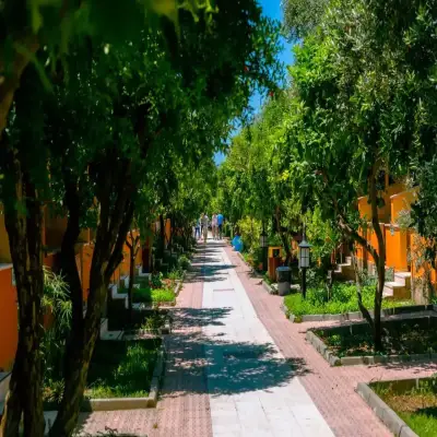 Özlem Garden