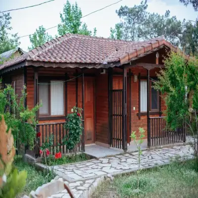 Koala Bungalows
