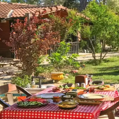 Koala Bungalows