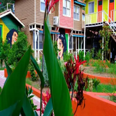 Salinas Wooden Houses