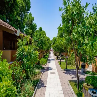 Özlem Garden