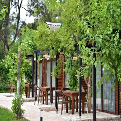 Koala Bungalows