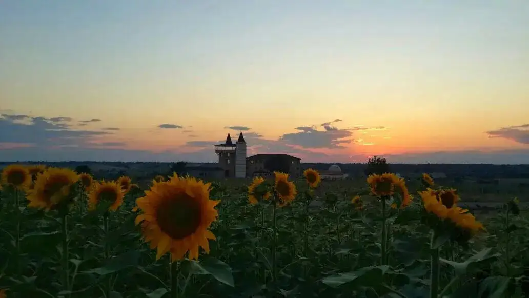 Bakucha Vineyard Hotel - Lüleburgaz