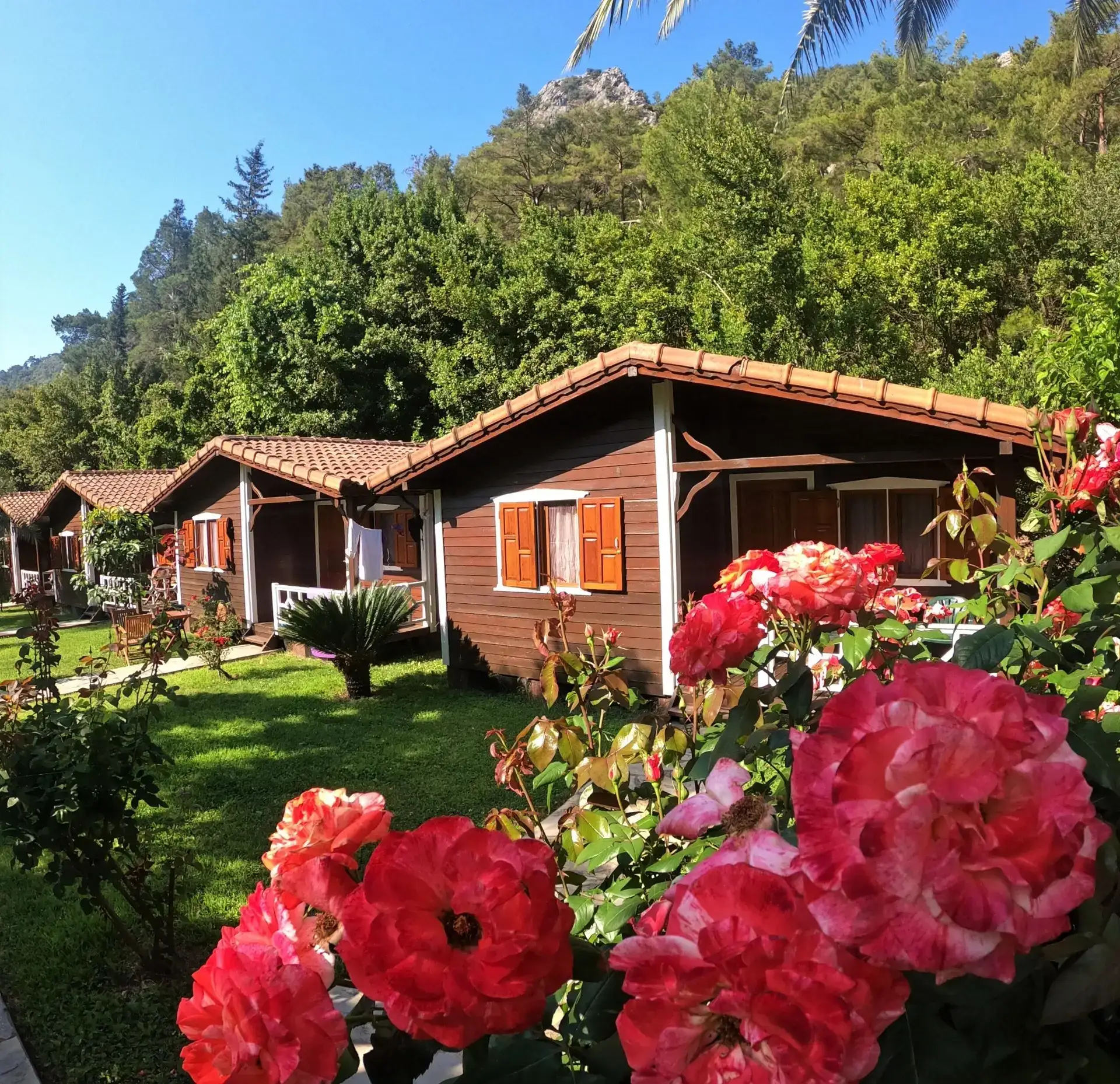 Canada Hotel & Bungalows