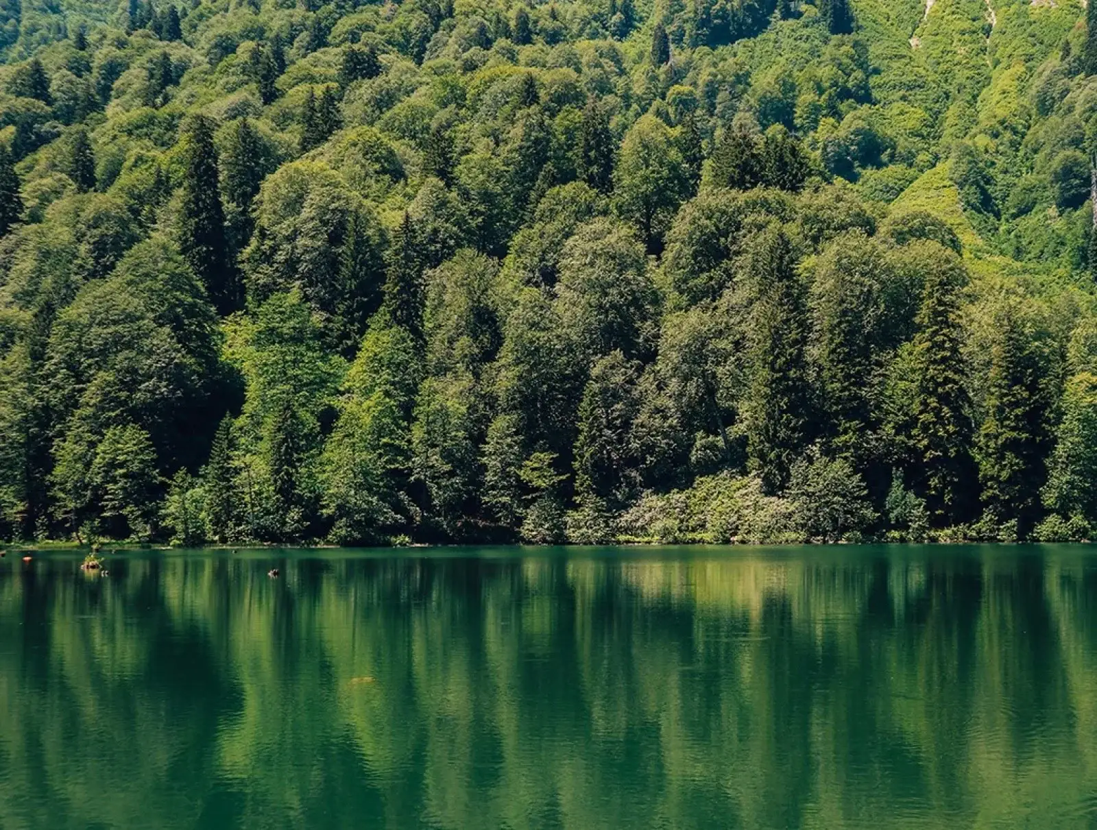 Küre Dağları