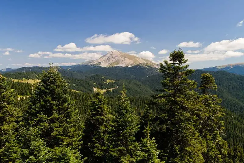 Ilgaz Dağı,