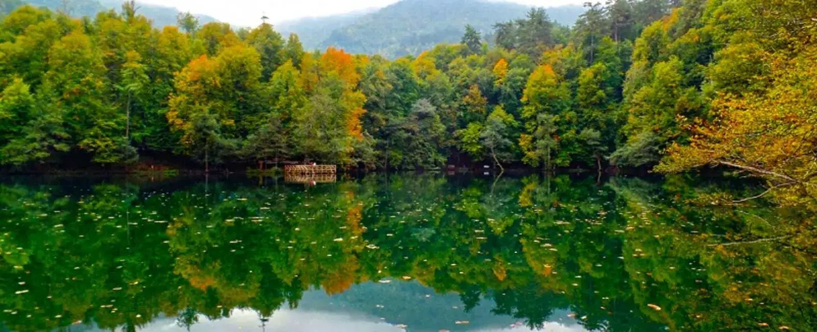 Yedigöller/Bolu