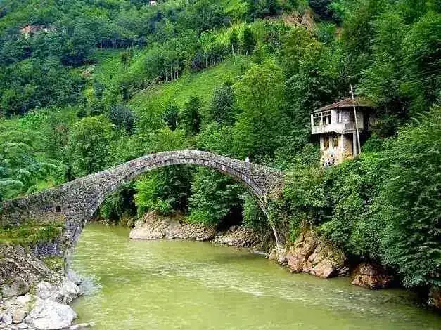 Arhavi'den Ne Alınır?