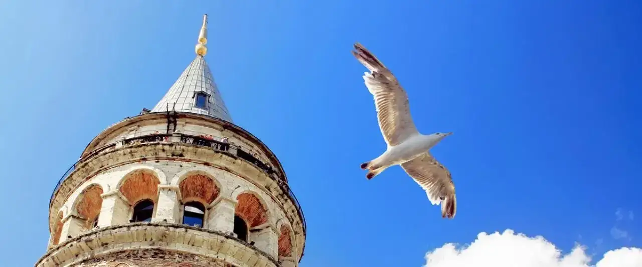 Galata'dan Ne Alınır