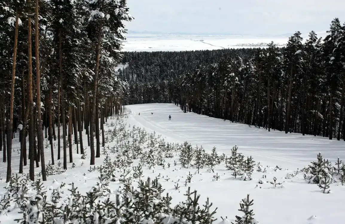 Sarikamis Ski Hotels