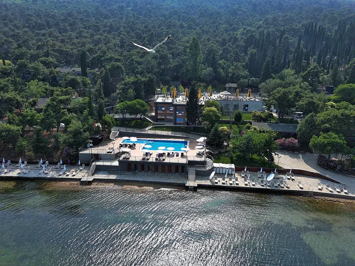 Büyükada Evcil Hayvan Dostu Otelleri