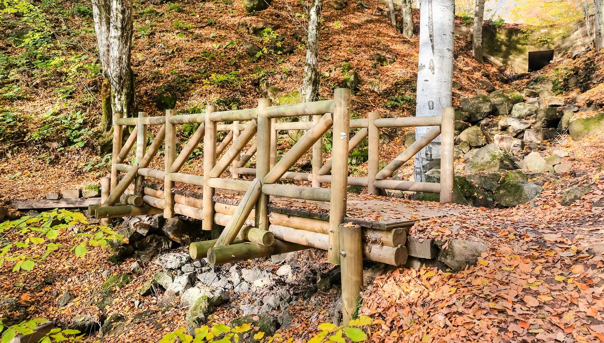 Bolu Bungalov Otelleri