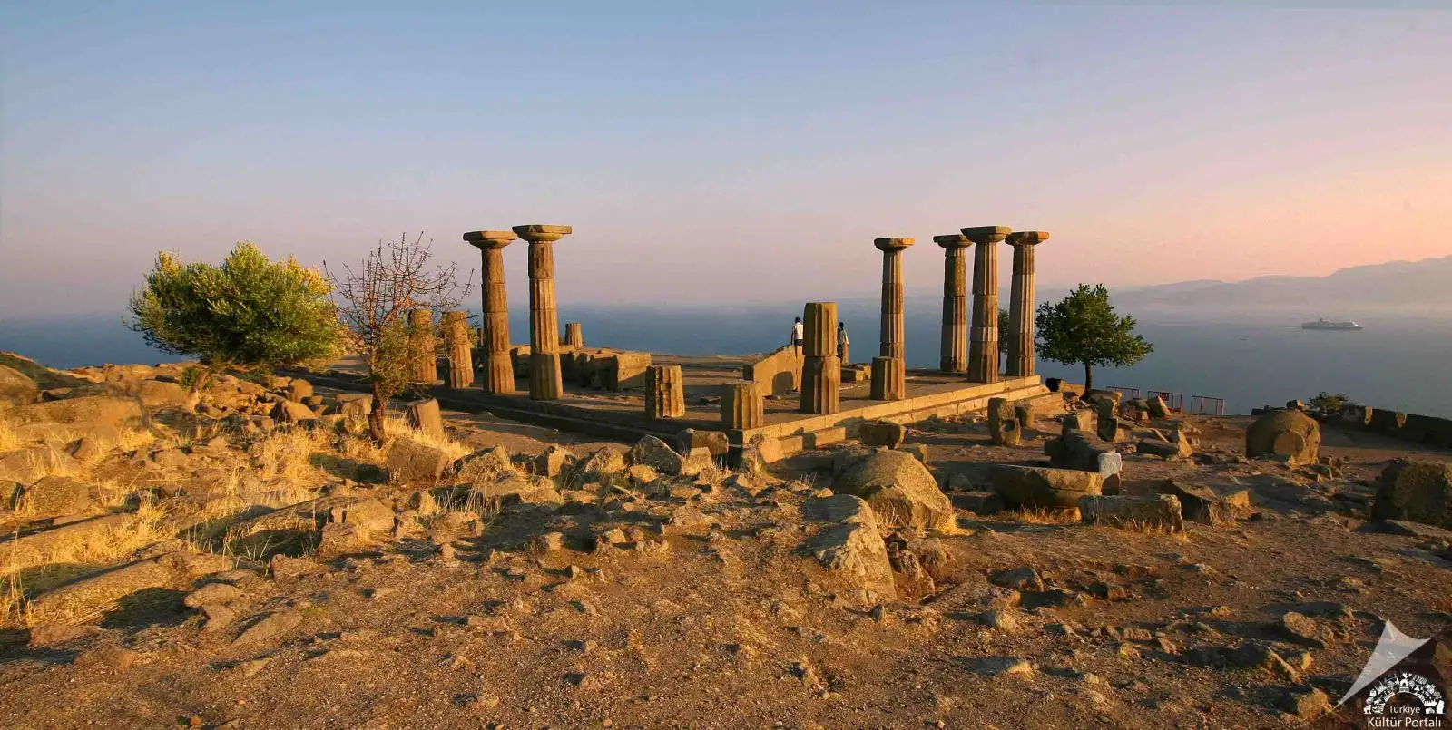Assos