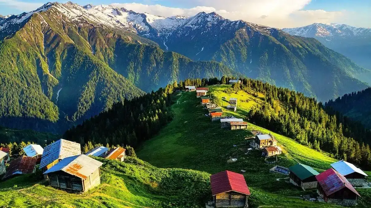 Pokut Yaylası