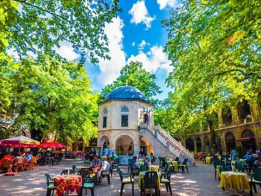 Bursa.webp