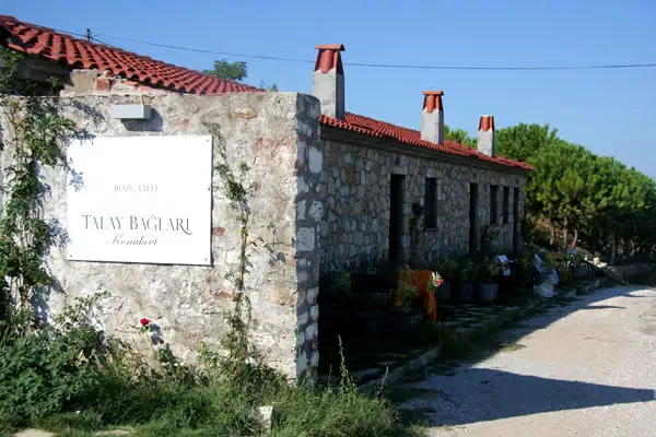 Bozcaada Şarap Bağları