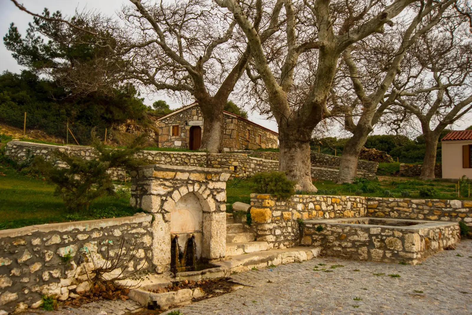 Aya Paraskevi Manastırı