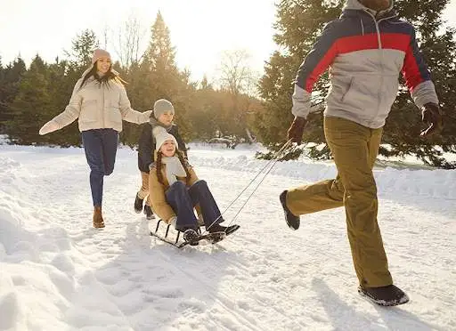 Fun Stuff: Multiply the Joy of Snow