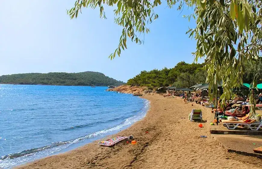 Türkiye'de Offline Summer ( Çevrimdışı Yaz )