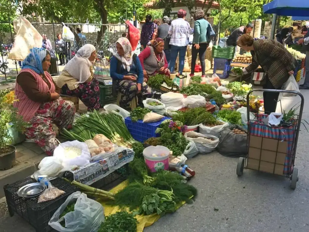 Tire Pazarı (Salı)