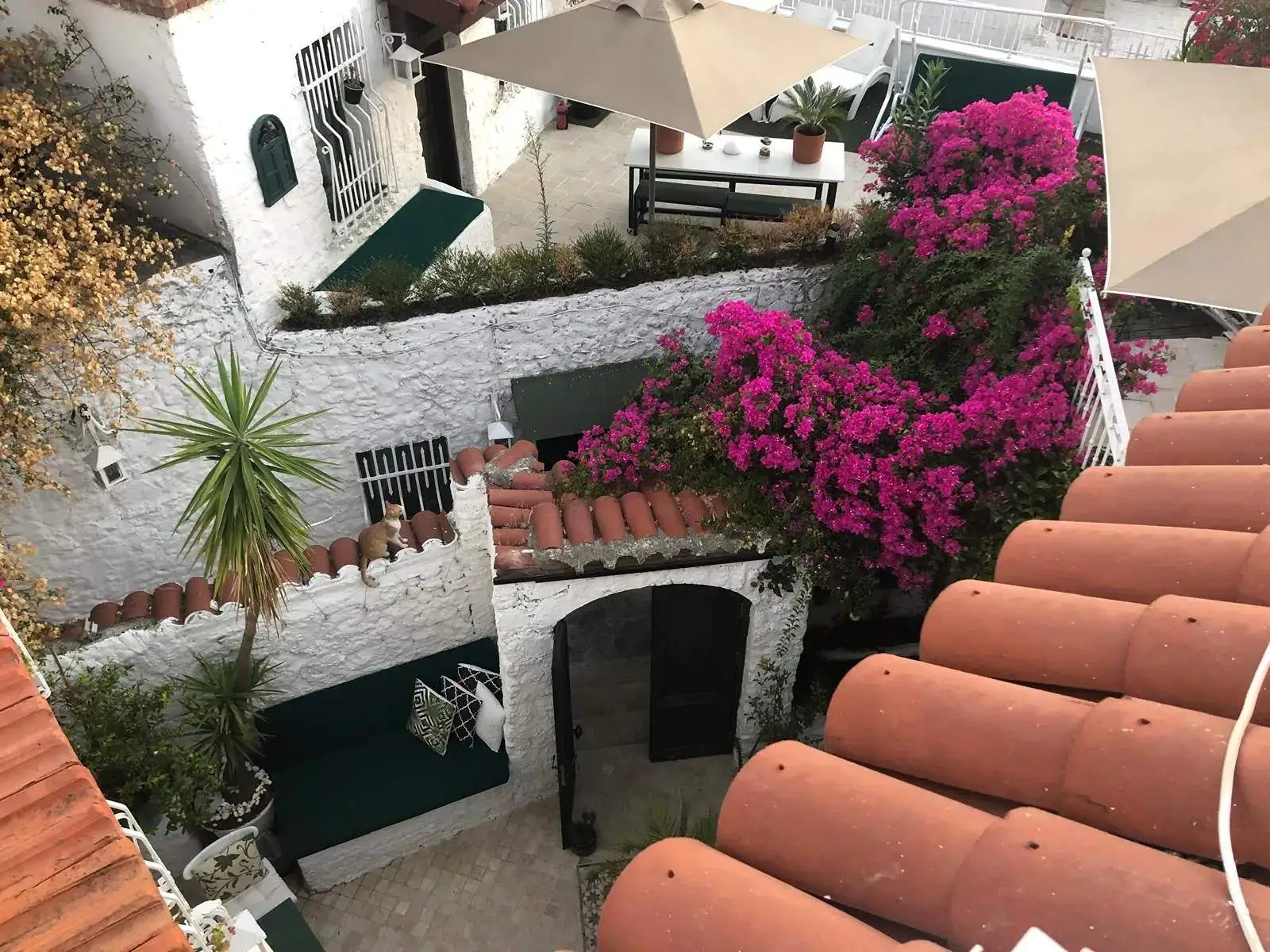 8 Oda Homes