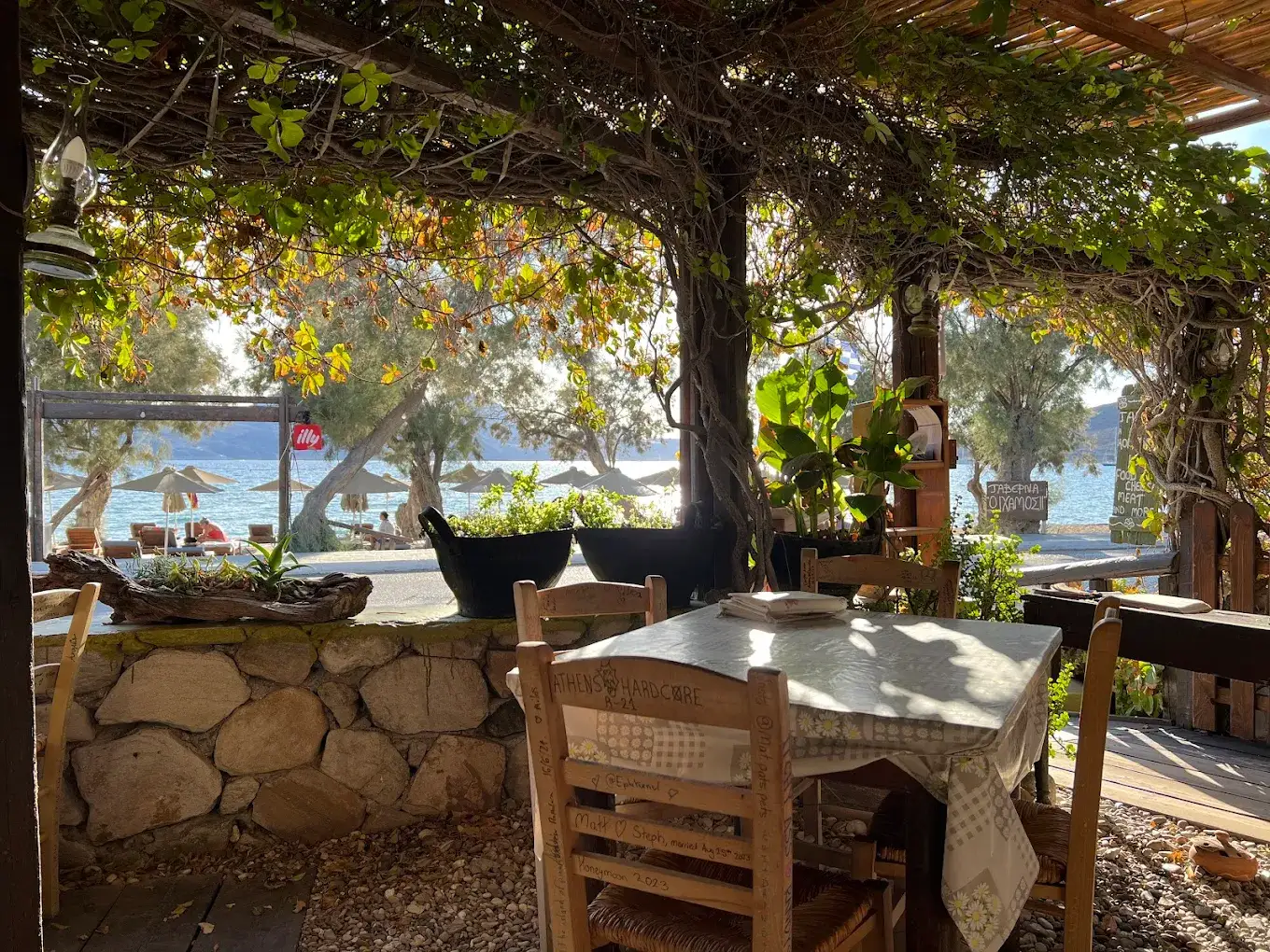 O Hamos Taverna