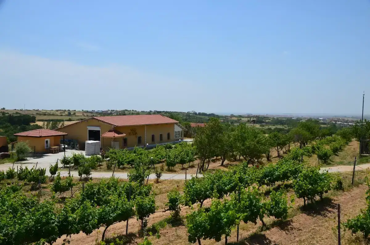 Vino Dessera