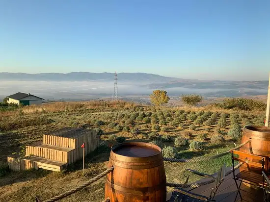 Barbare Bağları