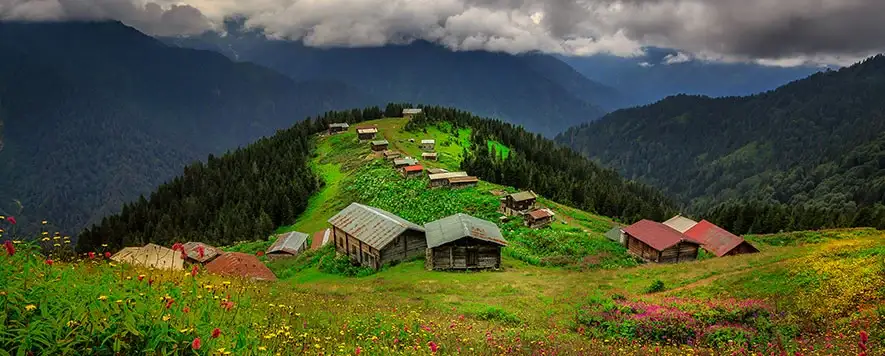 Rize