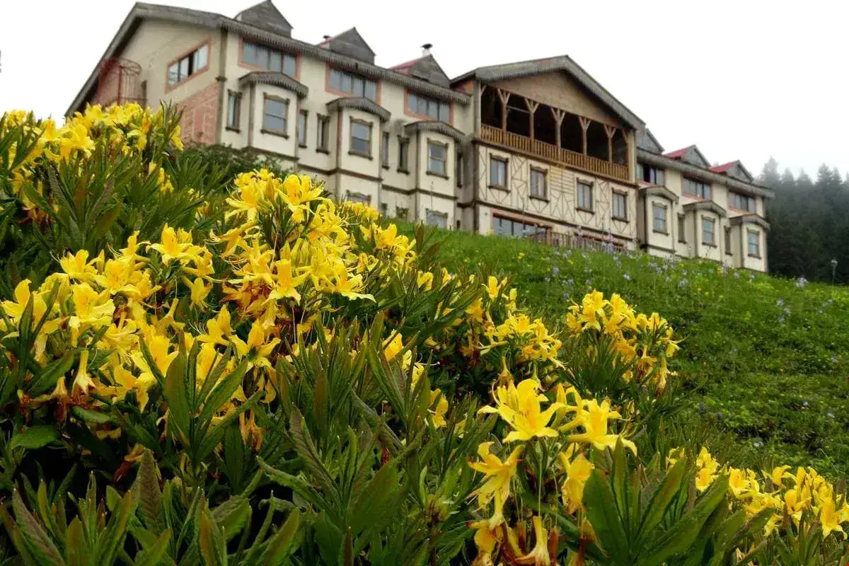 Zifin Hotel, Dereli Giresu
