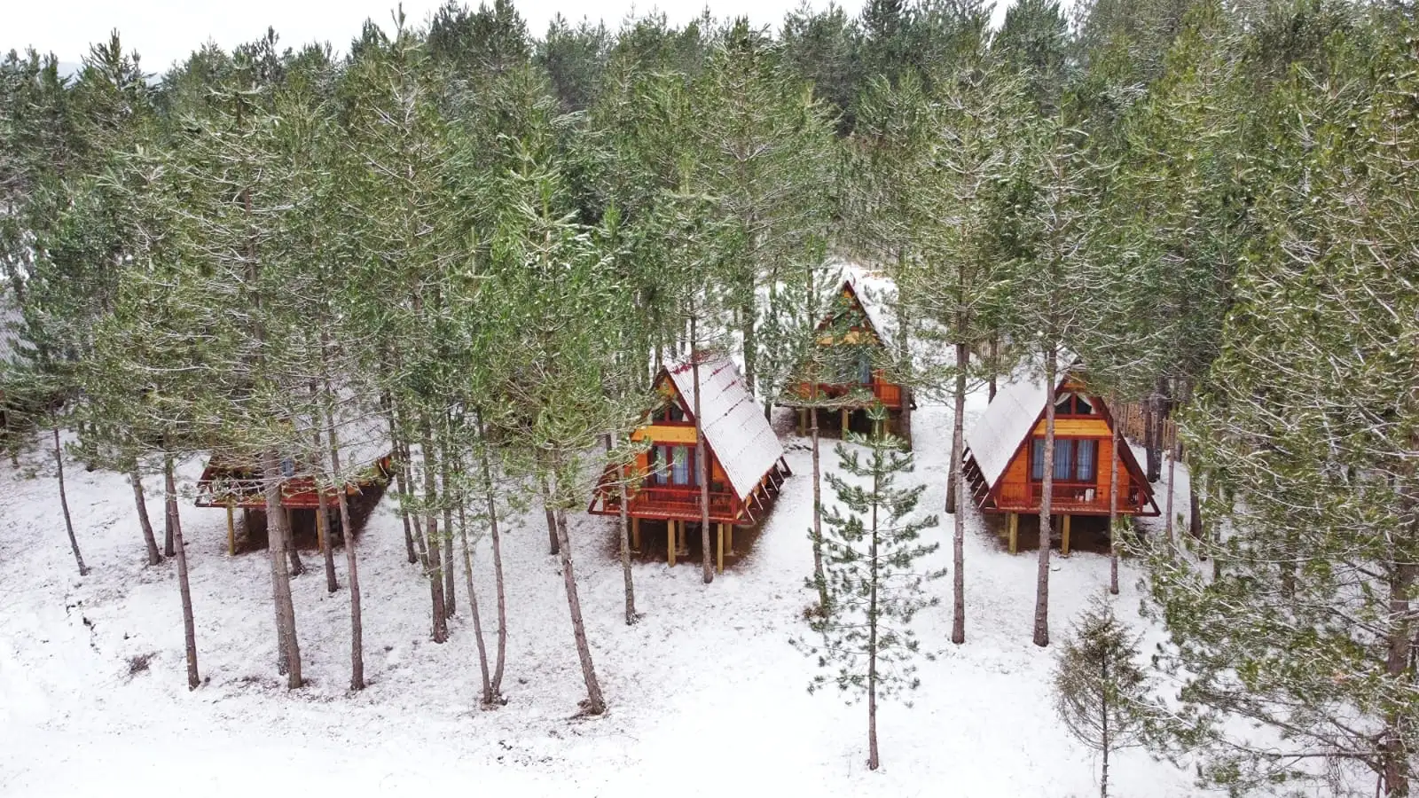 How Would You Like to Welcome the New Year 2025 in Bolu?